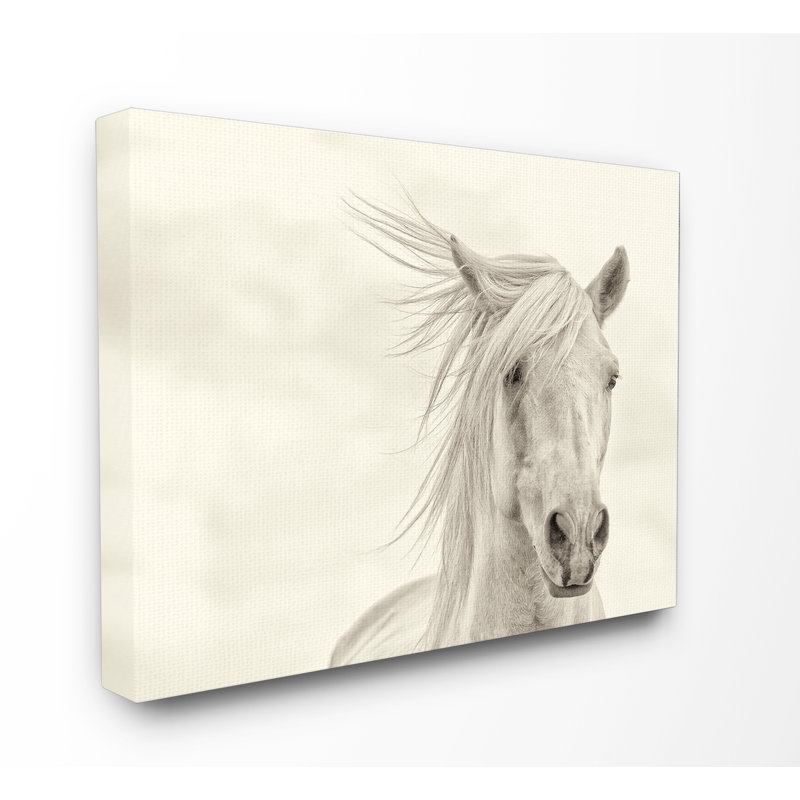 « white cheval running », impression, H 16 po x l 20 po, Toile tendue