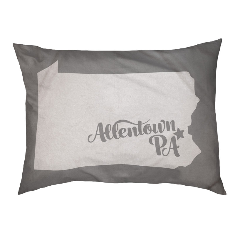 Coussin stylisé allentown de pennsylvanie, Moyen (L 30 po x l 40 po), Gris
