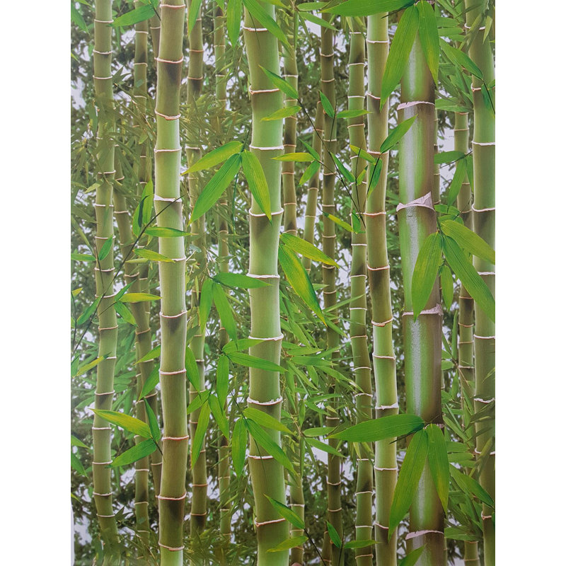 10.05m x 53cm Matte Wallpaper Roll