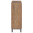 Caryl 2-door Shoe Storage Cabinet