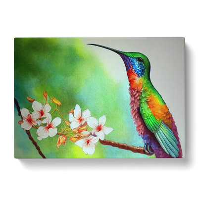 Hummingbird Watercolour Vol.4 - Wrapped Canvas