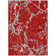 Machine Washable Indoor/Outdoor Chayden ACN1046 Red