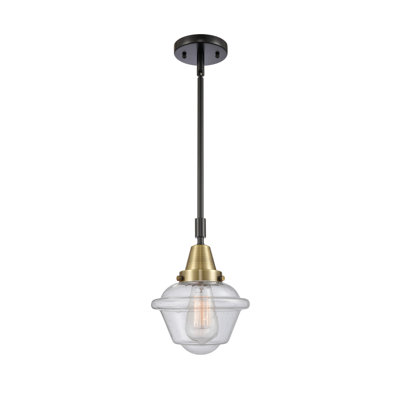 Luminaire suspendu simple à 1 lumière