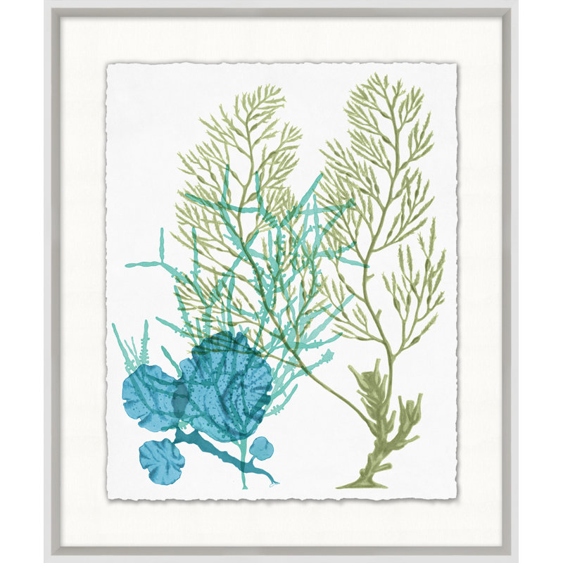 Deep Sea Kelp 9 Print