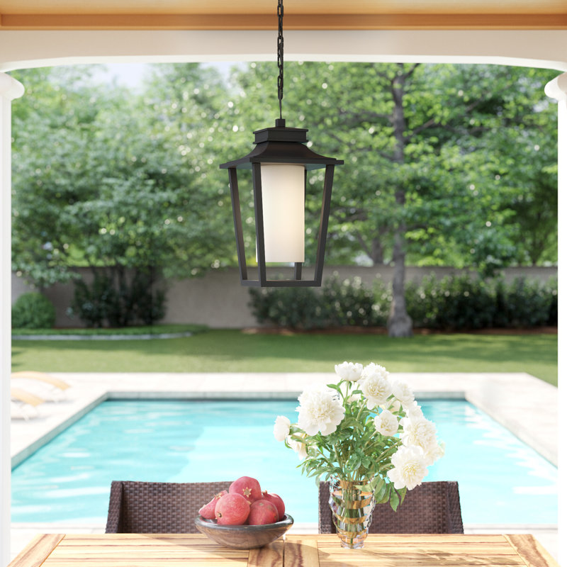 Sullivan 1-Light Outdoor Hanging Lantern, Black, 100W Medium