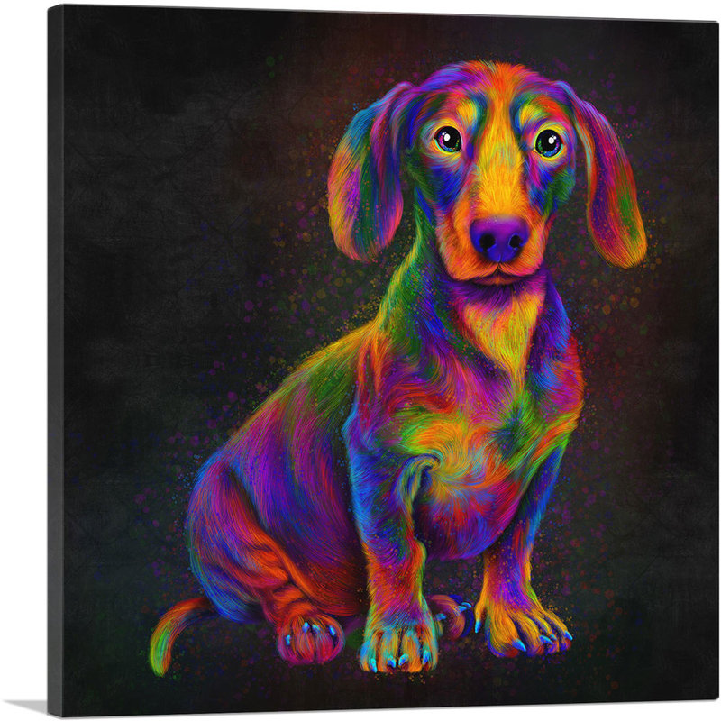 Dachshund Colorful Animal Dog - impression sur toile tendue, H 26 po x l 26 po x P 0,75 po