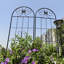Treillis de jardin en métal antirouille pour plantes grimpantes-117533802