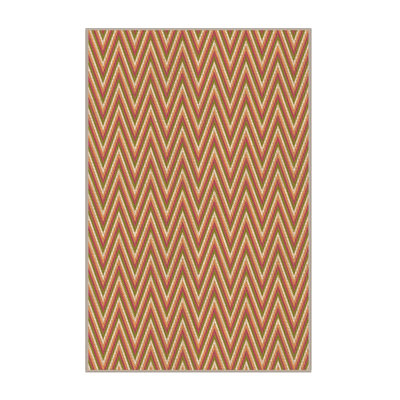 Washable Indoor Rug