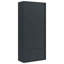 Adriean 2 -Door 4 -Shelf-395282404