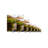 " Gold Rush I " Painting Print-1163453340