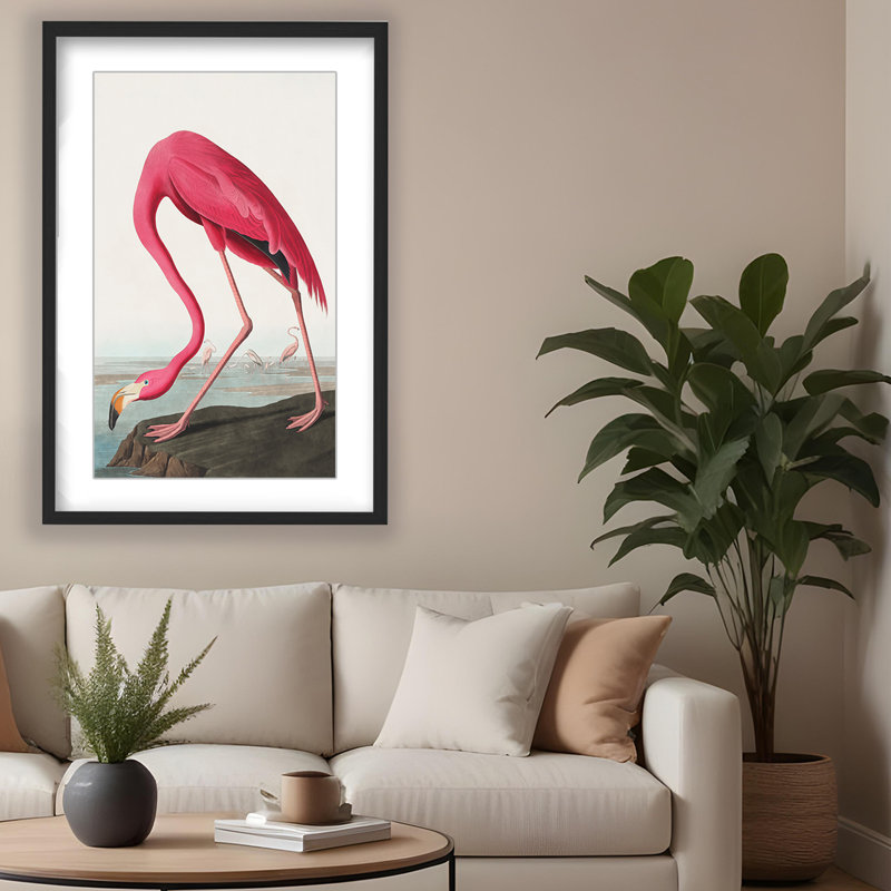 Coastal Retreat Pink Flamingo II From Birds Of America (1827), 30" H x 24" W