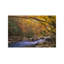 Little River Flowing Through Autumn Forest, Great Smoky Mountains National Park, Tennessee 1 Piece Wrapped Canvas Painting-50793138
