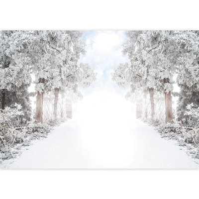 Adhésif mural chemin d'hiver à travers les arbres de la forêt