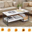 Dannelley Coffee Table with Storage