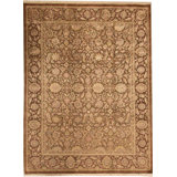 Oriental Area Rug in Brown