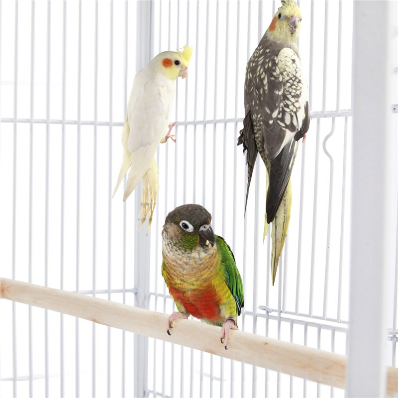 52.5cm Iron Flat Top Breeder Bird Cage with Perch, White