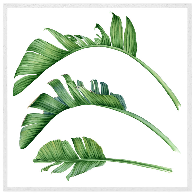 Sonderborg Triple Botanical - Single Picture Frame Print, 76cm H x 76cm W x 4cm D, White Framed