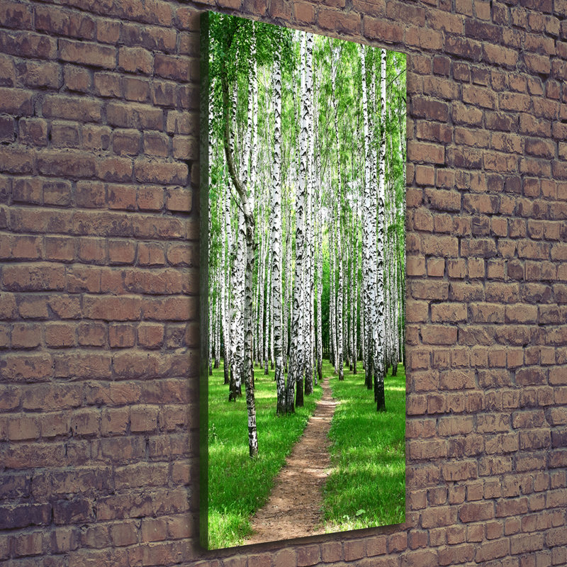 Birch Forest - Wrapped Canvas Print