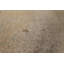 Tapis délavé 10 x 13