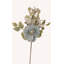 Spring Multi Jeweled Magnolia 22" Stem