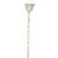 Dereham 6 - Light Clear Drum Pendant