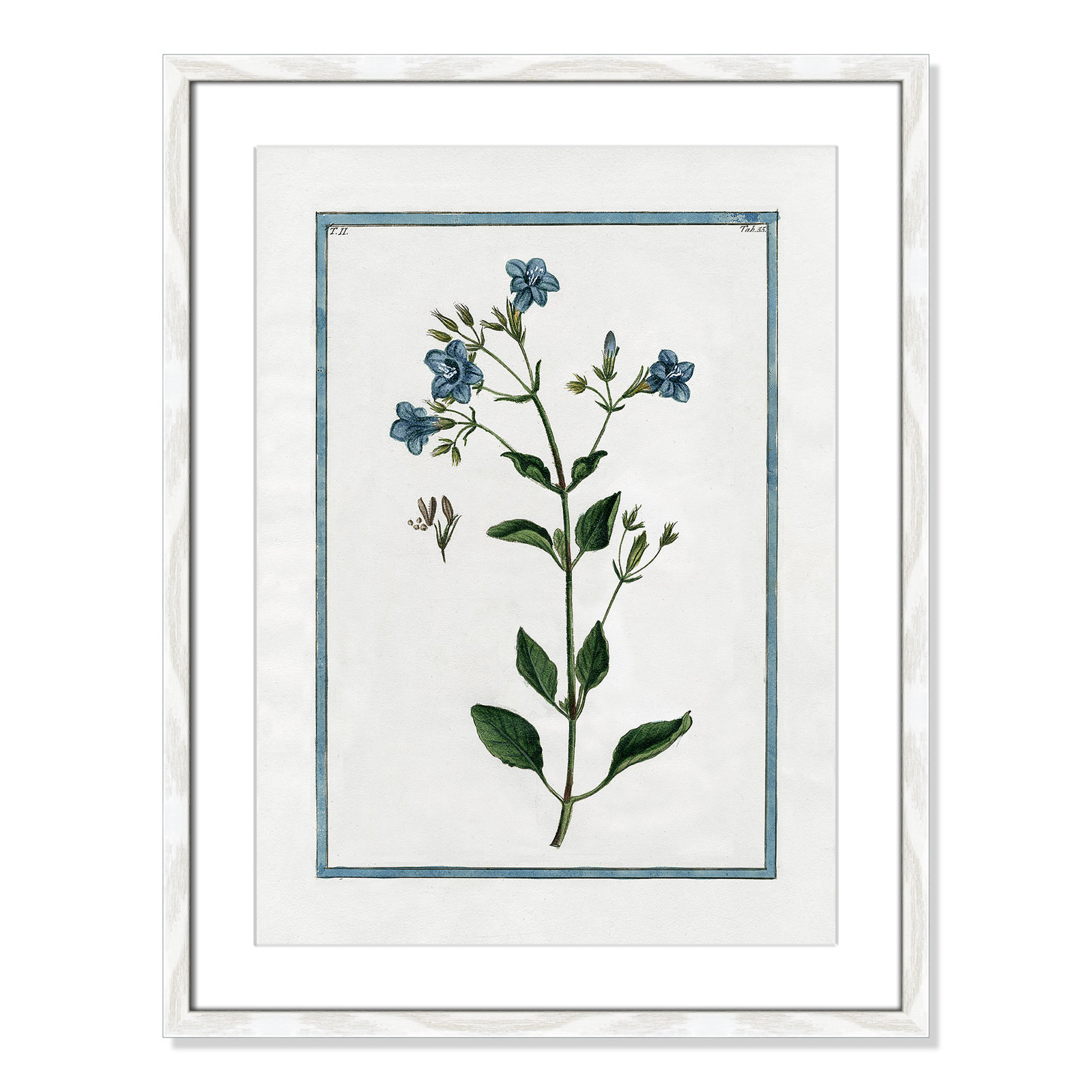 Shabby Elegance Botanical II - Framed Art, 17" W x 23" H, White Framed