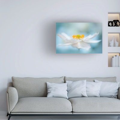 Jacky Parker, art sur toile