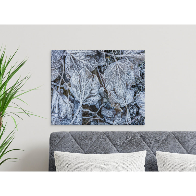 Wrapped Canvas Print Set, 48x36