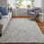 Gray/Taupe/Beige