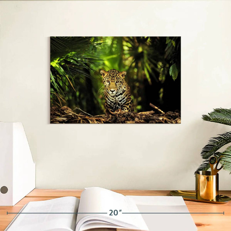 Brampt Belize Jungle Jaguar, 8" H x 12" W