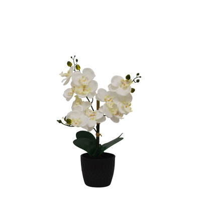 Silk Orchid Arrangement in Vase