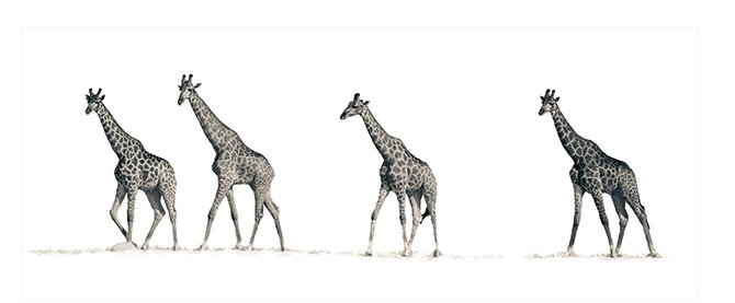 Mario Moreno - Print