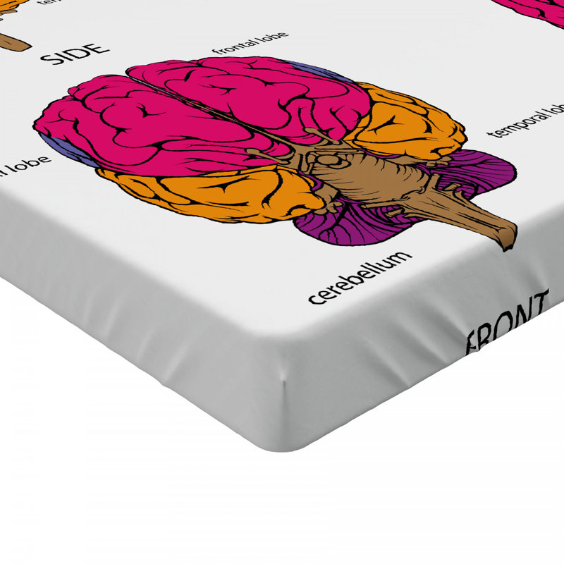 Microfiber Fitted Sheet, Full Fitted Sheet