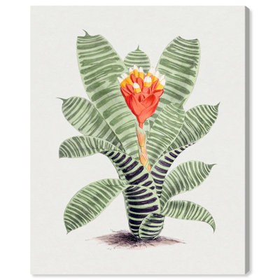 Toile Tillandsia Musaica par Art Remedy