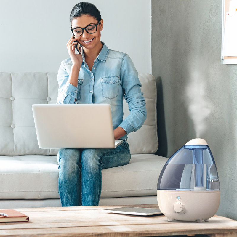 Humidificateur ultrasonique de table à vaporisation froide 500 pi. pi.
