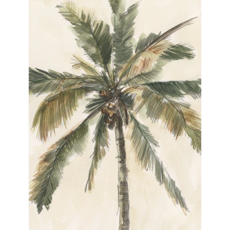 Telena Antique Watercolor Palm Study I 1 Piece Wrapped Canvas Wall Art, 30 cm H x 20 cm W