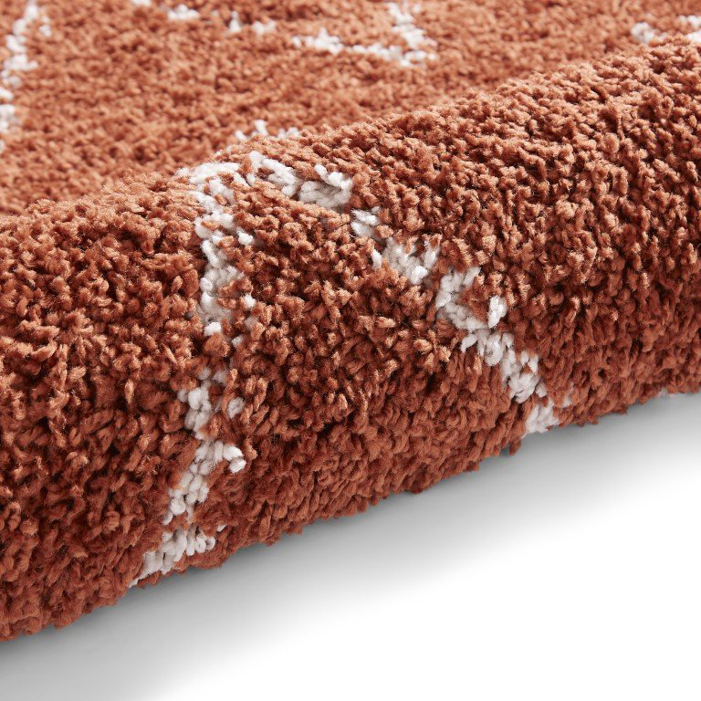 Archuleta area rug Machine Woven Rust, Rectangle 200 x 290cm