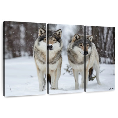 Brampt Wolves In Langedrag Nature Park