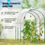 Tunnel Tomato Greenhouse with 4 Hoops and Top Tap, Pointed Bottom and Guy Ropes, 400 x 123 x 171 cm