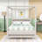 Canopy Platform Bed with LED Lights