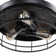 36'' Robichaux 3 - Blade Retractable Blades Ceiling Fan with Remote Control and Light Kit Included