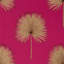 Fan Palm Wallpaper-50888995