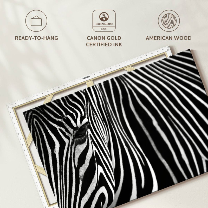 Brampt Zebra In Lisbon Zoo, 34" H x 51" W