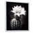 White Floater Framed