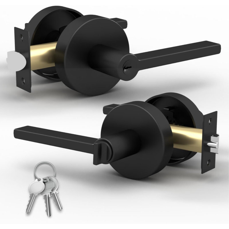 Poignée de porte intérieure réversible Mega Handles RALPH pour chambres à coucher, salles de bain, couloirs | Serrures de porte modernes en acier inoxydable avec rosette ronde