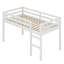 Lit mezzanine en bois avec échelle-1159635196