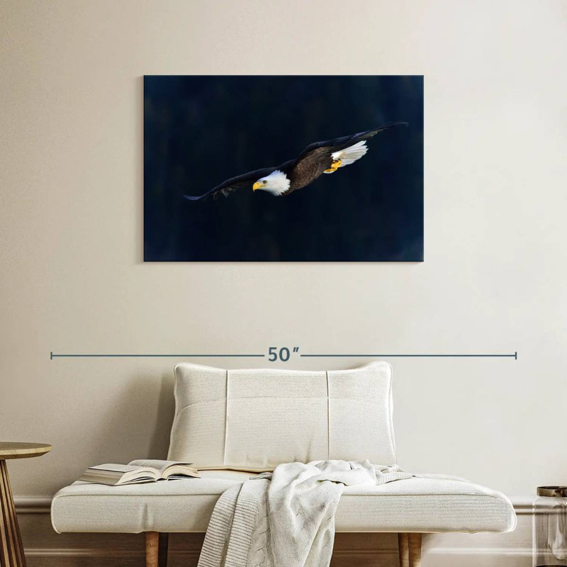 Brampt Aerodynamic Eagle, 24" H x 36" W