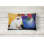 Coussin décoratif intérieur/extérieur ragdoll