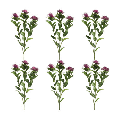 Sprays de chardon