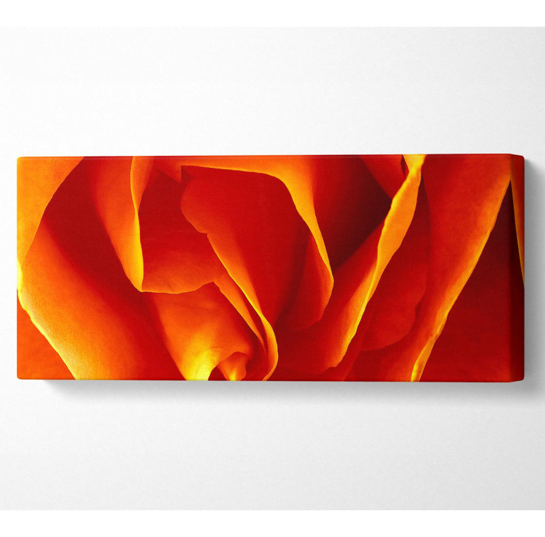 Orangefarbene Rosenblüten - Kunstdrucke auf Leinwand - Wrapped Canvas